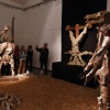 Muestra de Juan Maffi