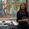 Taller de litografa